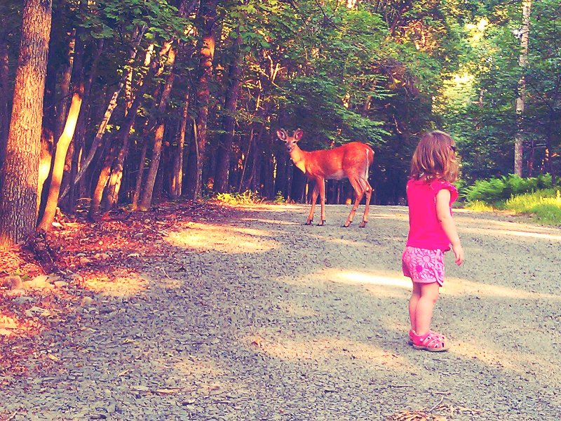 C360_2012-06-20 -18-55-40