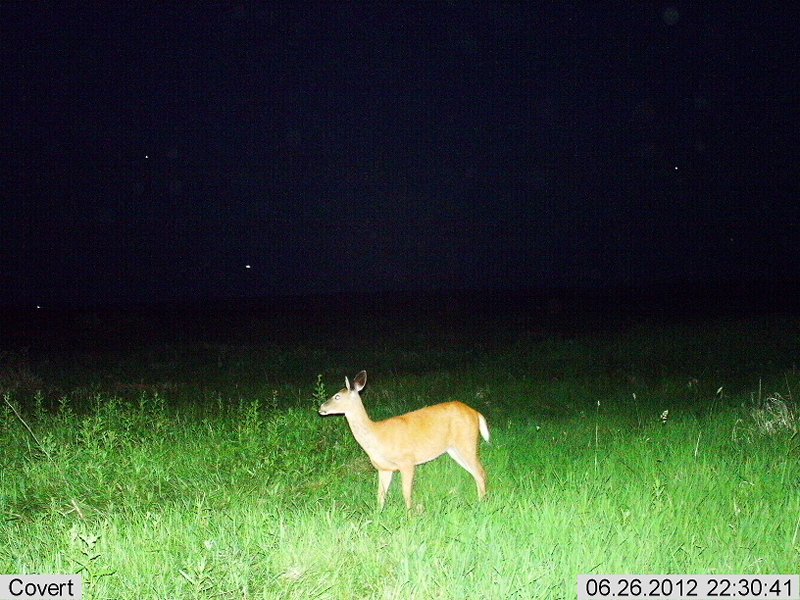 2012-06-26 22-30-44C647