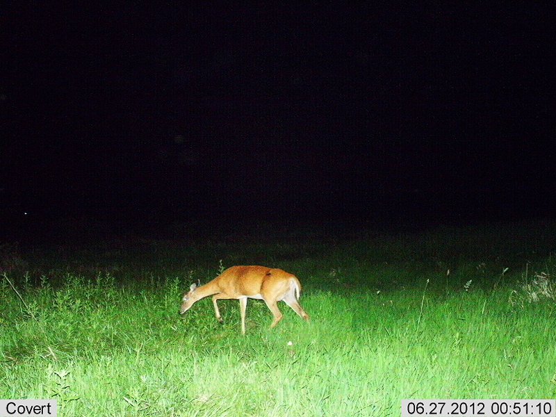 2012-06-27 00-51-14C683