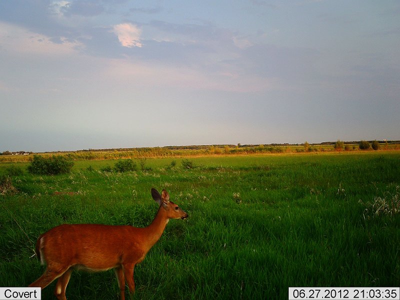 2012-06-27 21-03-44C415