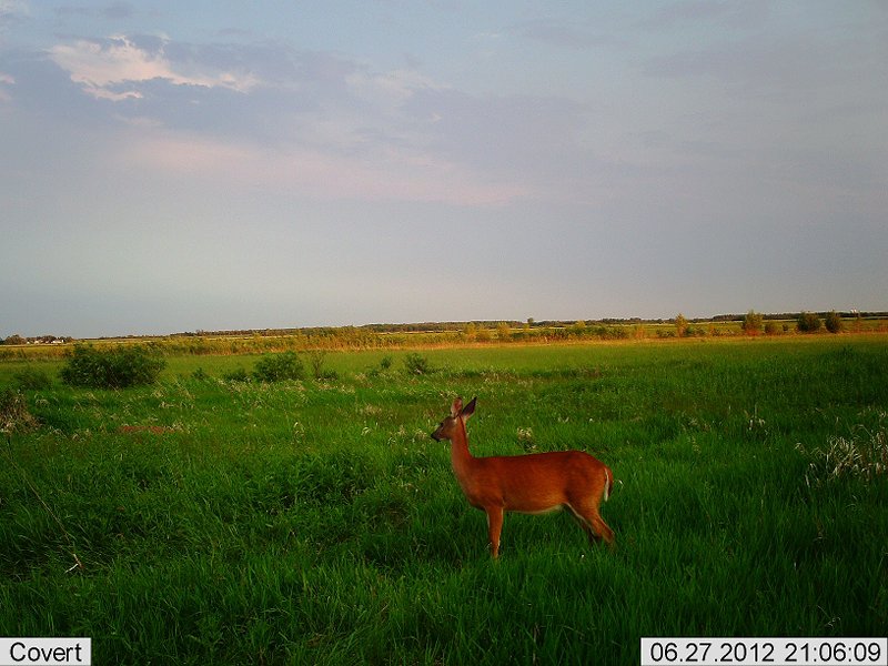 2012-06-27 21-06-16C562