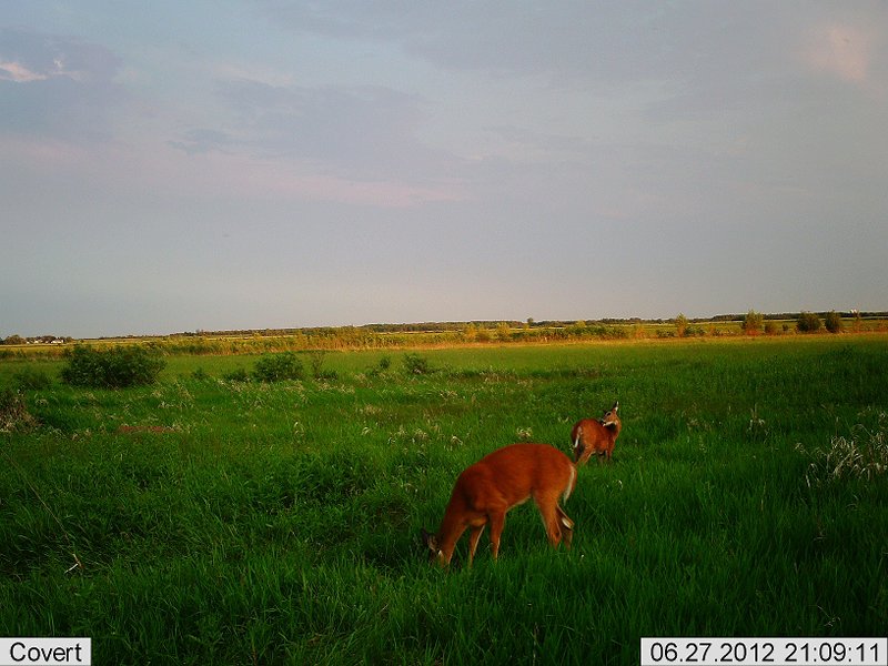 2012-06-27 21-09-20C289