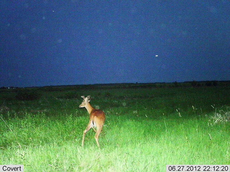 2012-06-27 22-12-24C022