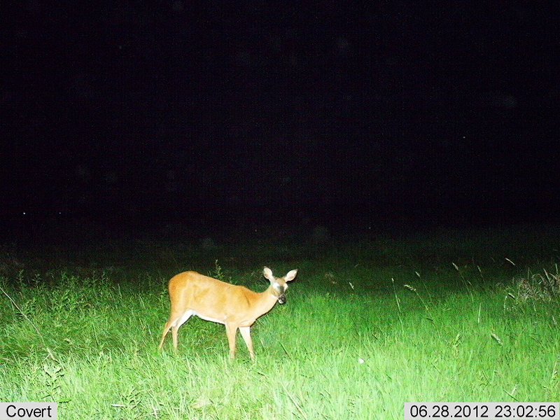 2012-06-28 23-02-58C442