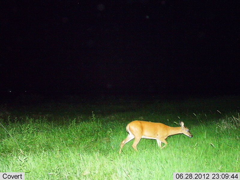 2012-06-28 23-09-46C044