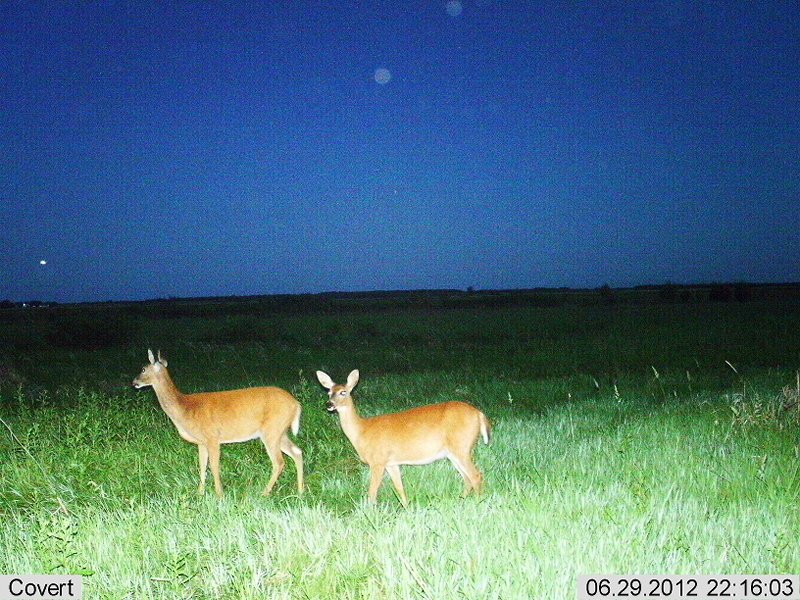 2012-06-29 22-16-06C709