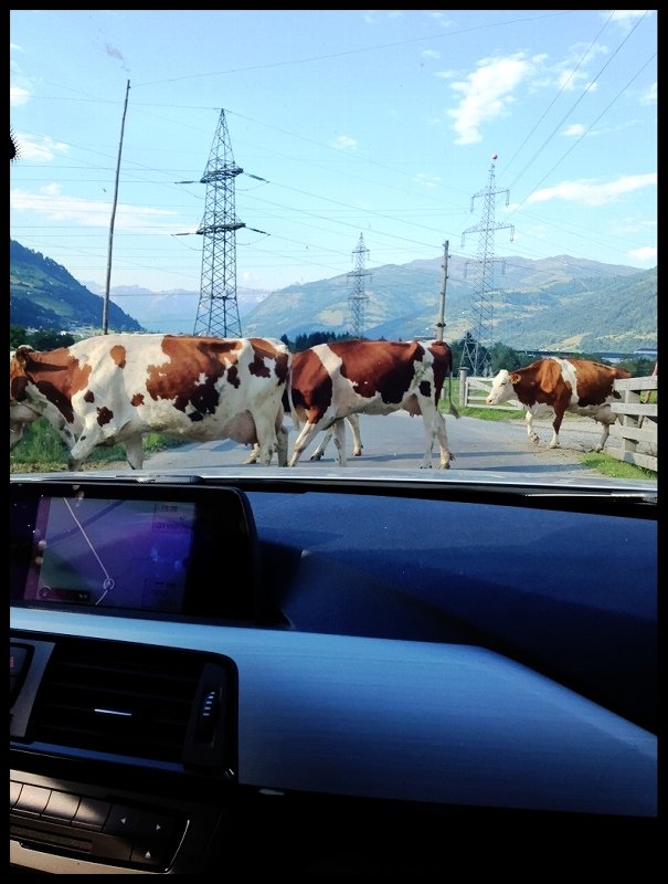 IMG_0132_Compre ssor