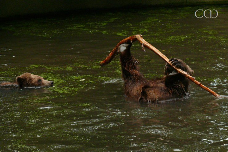 Hey hey! Who is so active at 9 AM?