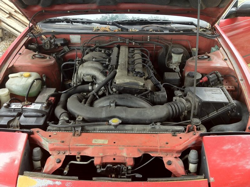 376351_10151920 068485055_13486 13147_n