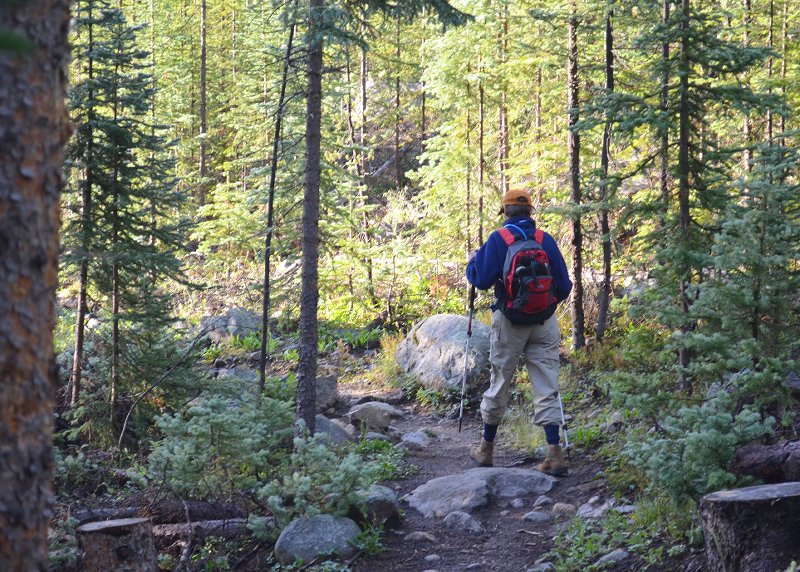Colorado trail hike 7 miles from around 9000' to a litt...