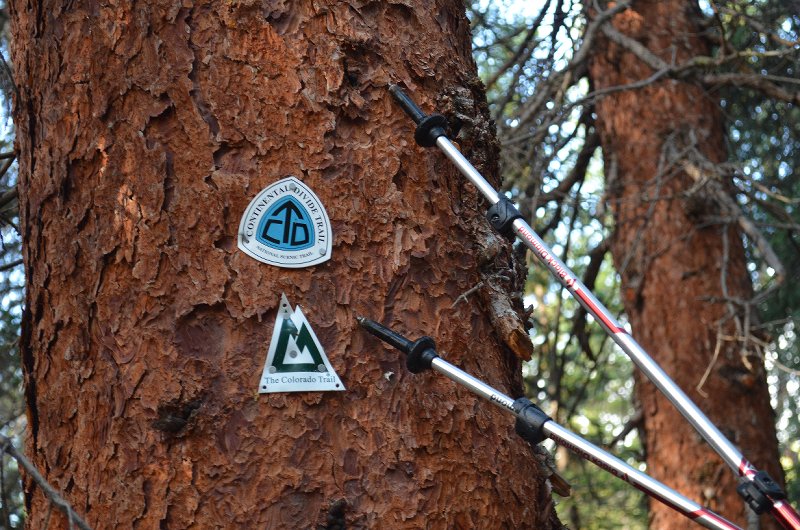 Continental Divide and Colorado Trails merge at the sec...