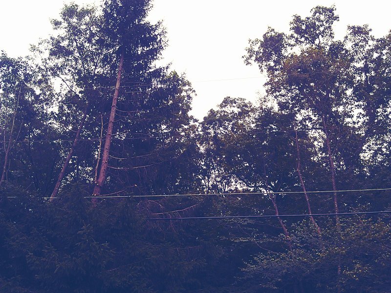 C360_2012-07-31 -10-55-00