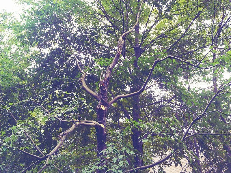 C360_2012-07-31 -10-55-32