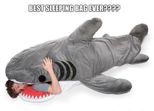 543593_44116475 32404_261394060 _n