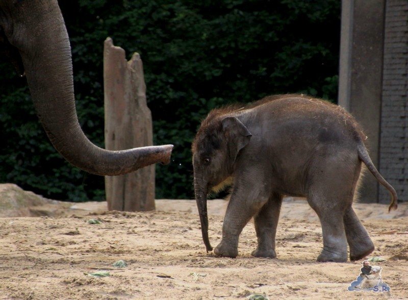 eine Dusche vielleicht?