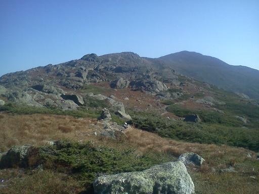 Looking back at Mt. Adams from Edmands Col