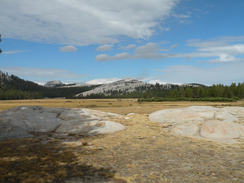 Tuolomne Meadows