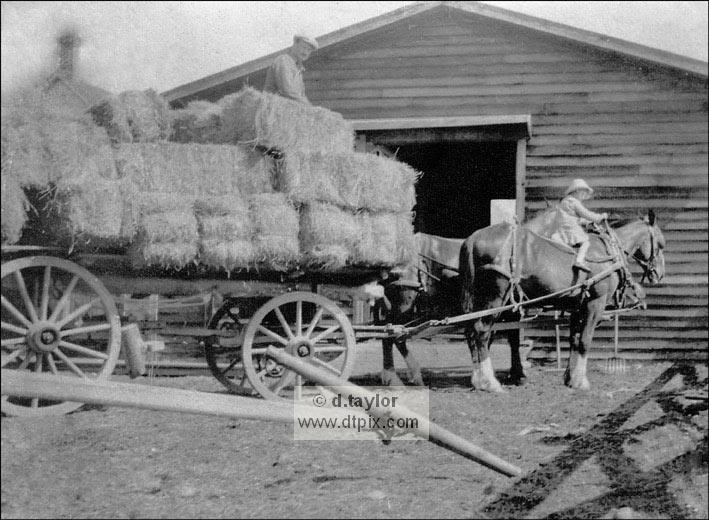 Hay-wagon 1918