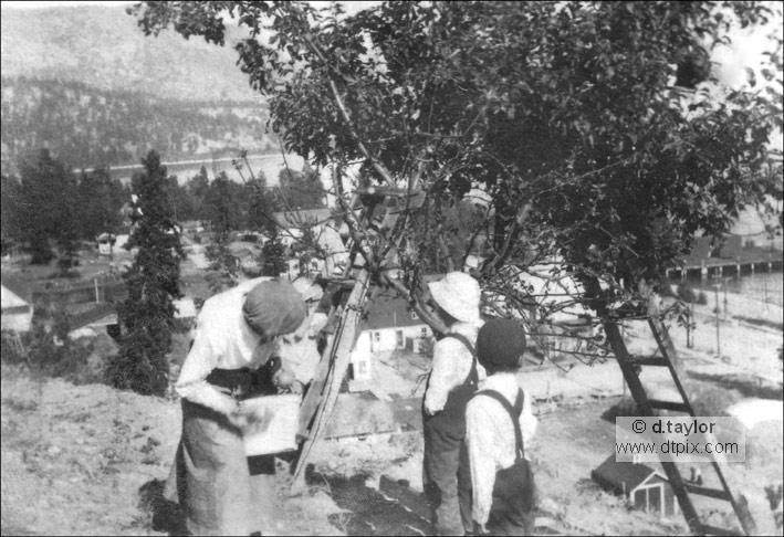 Mrs-Tewarts-orc hard