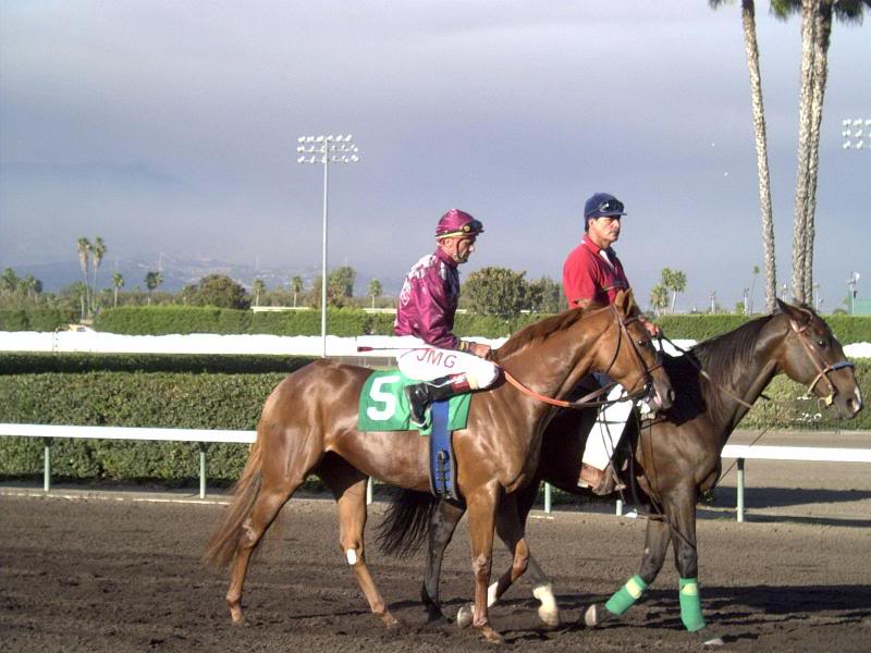 Fall Fest In LA (03) - Horse Race