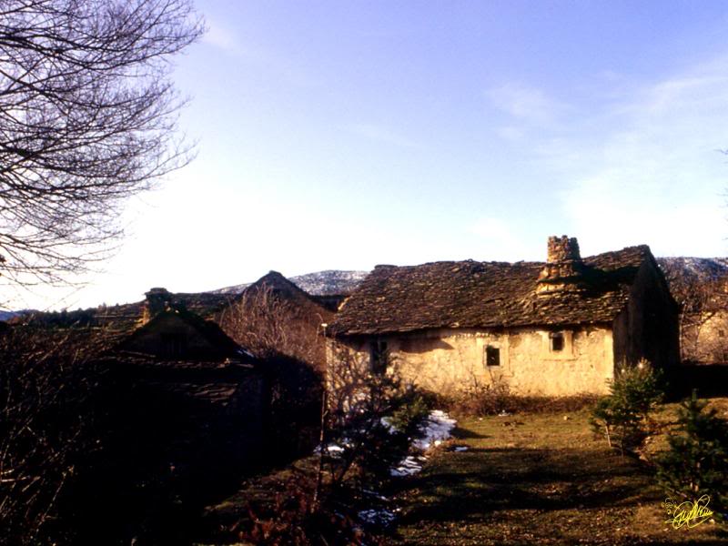 Gere en La Solana Huesca Spain