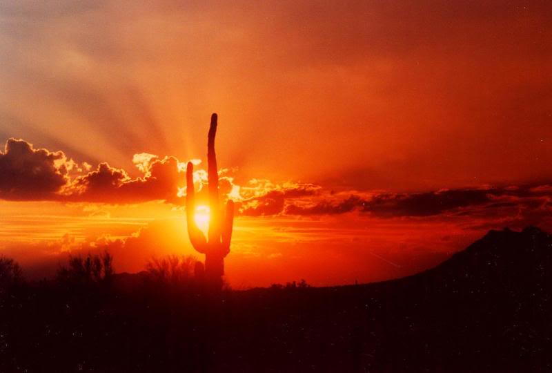 arizona desert sunset 1