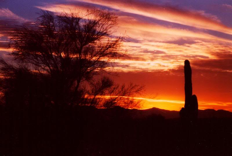arizona desert sunset 10