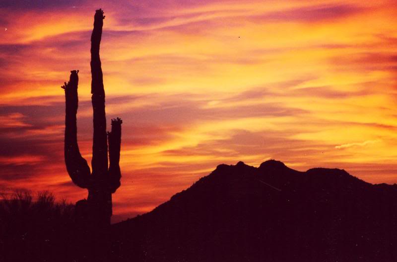 arizona desert sunset 2