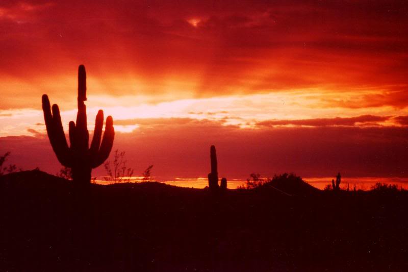 arizona desert sunset 3