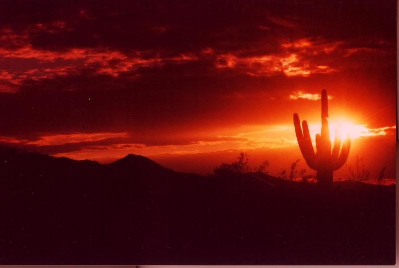 arizona desert sunset 6