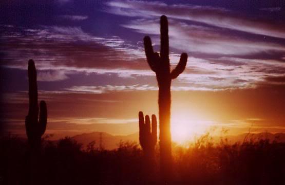 arizona desert sunset 8