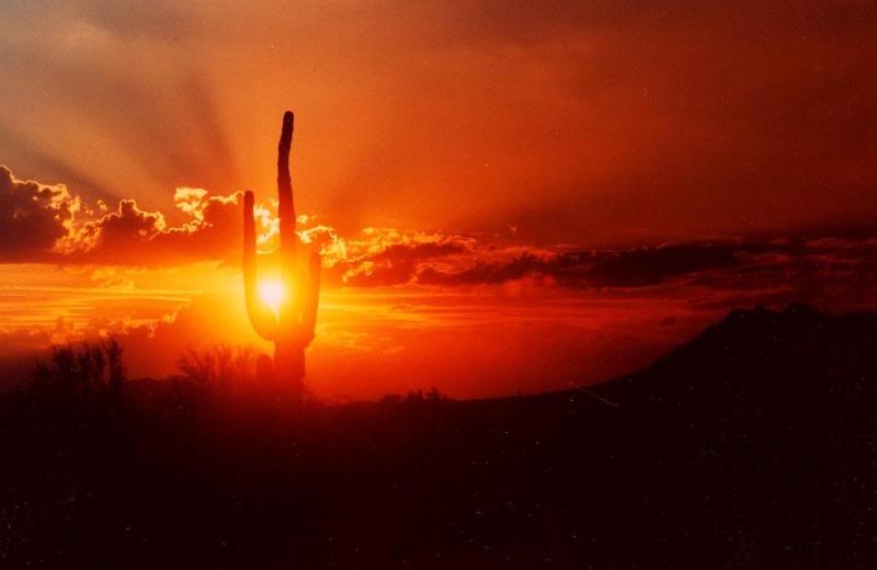arizona desert sunset9