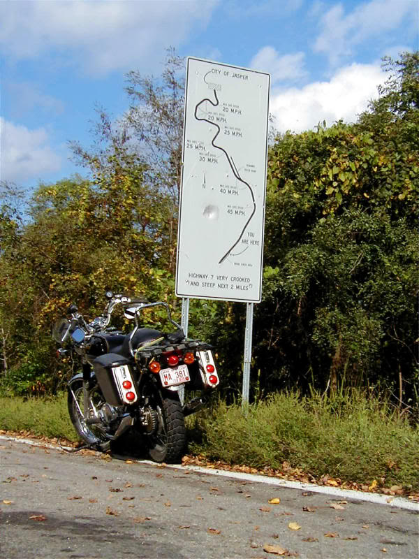 Like a white tailed dear on raod to Jasper Ark.