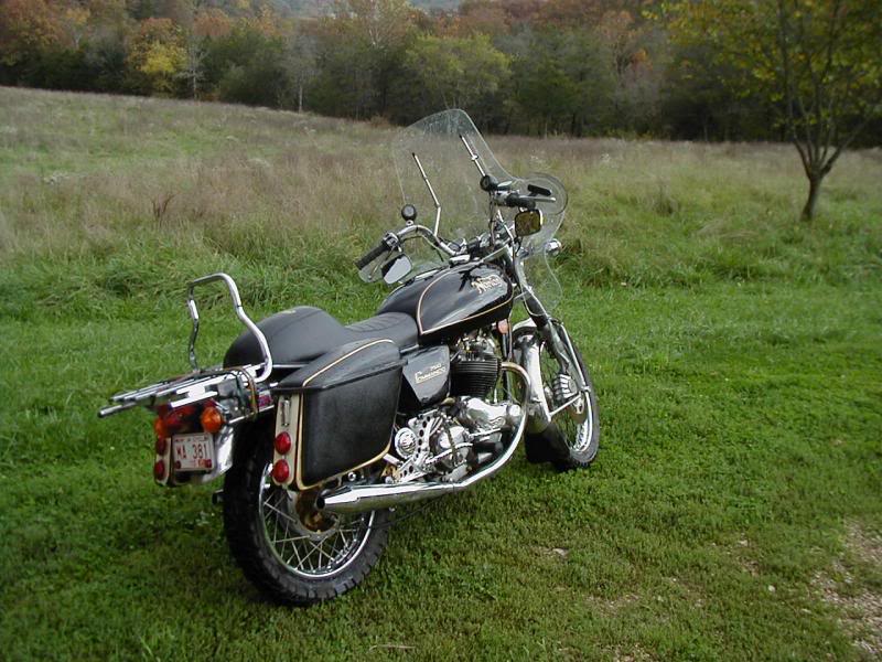 Sleek slick and sassy