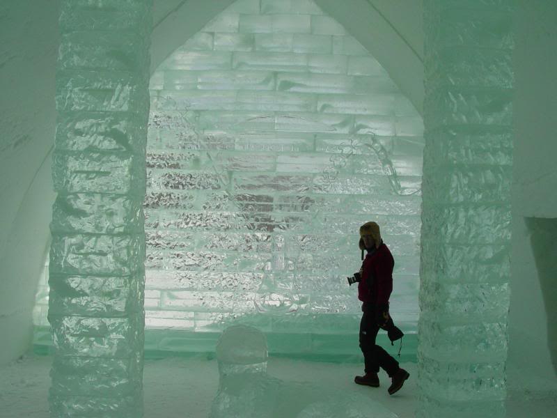 Ice Hotel - Moose Logo