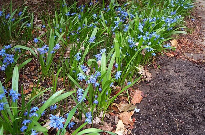 A beautiful welcome.....