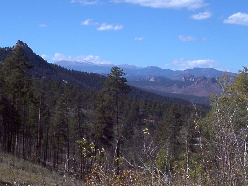 dirt road going from Deckers to Sedalia