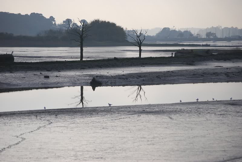 Suff Deben Melton 029