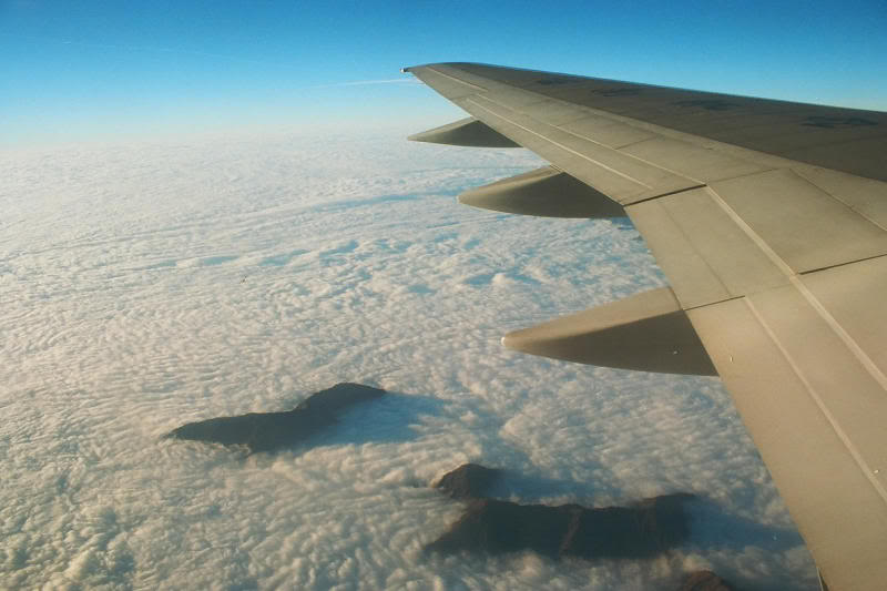 �C�������F���_� I(�|�t)