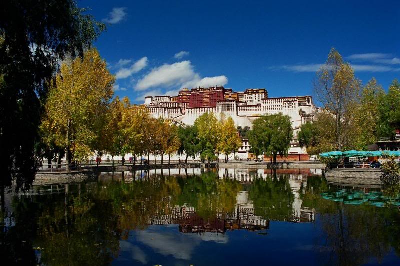 ���F���c����