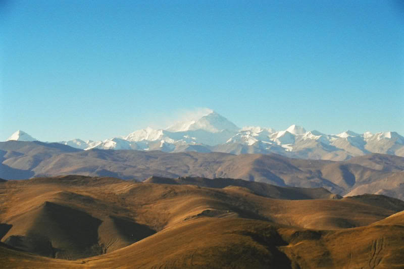 �������r��