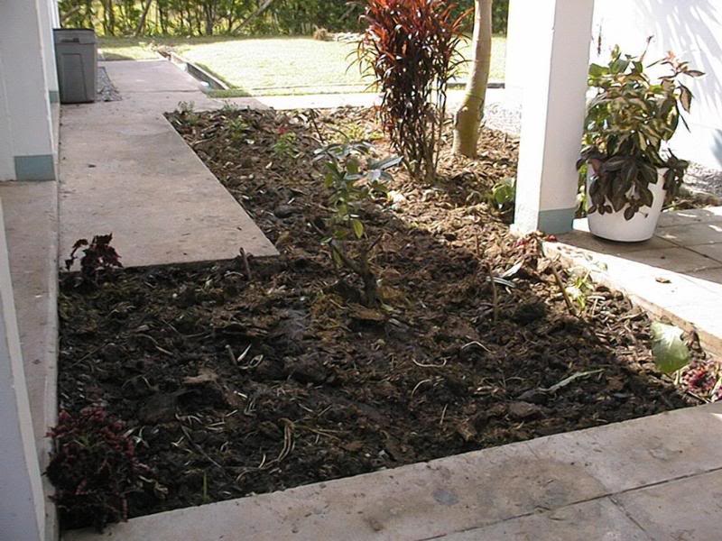 one of the front gardens before planting new flowers an...