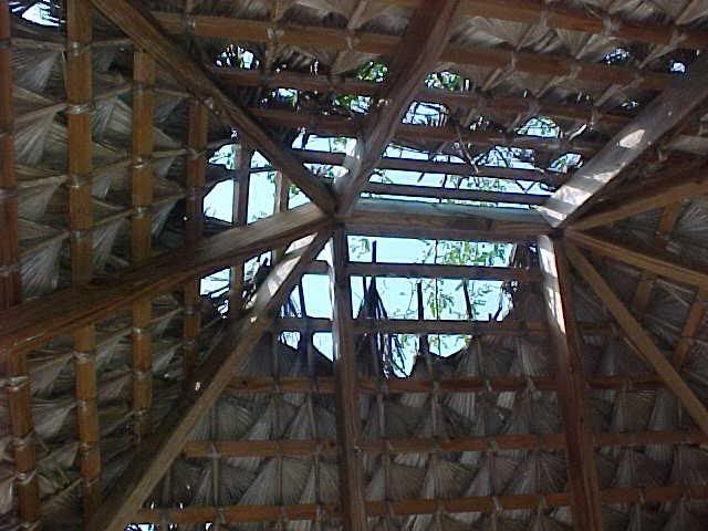 Thatched roof