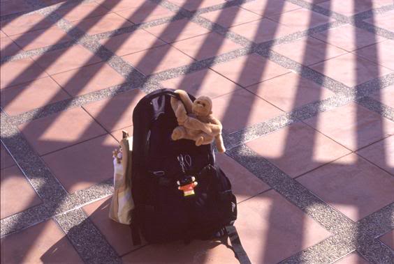 �O�i�n���r