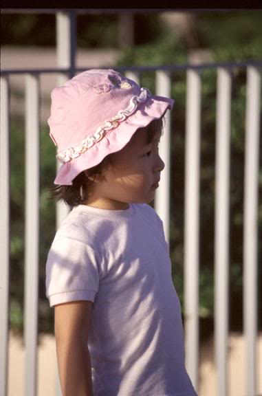 �O���p�f�f�n�i� R�[