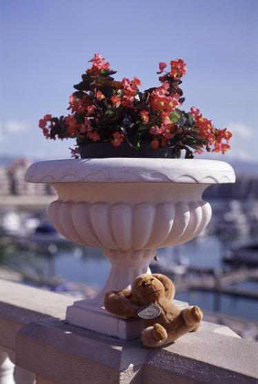 �u�Y�n�i�v�v�{~ ~