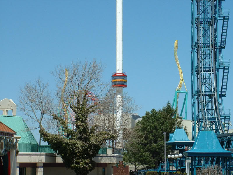 Once again Wicked Twister's new supports.