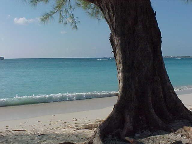 White beach, white water