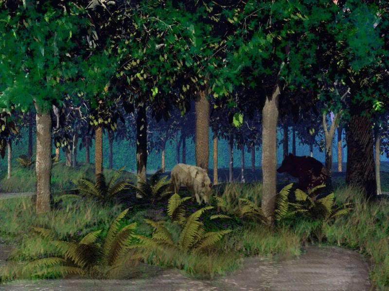 afternooon at the lake