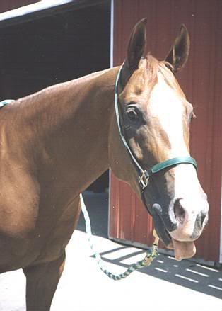 Raspberry To You, Mom!